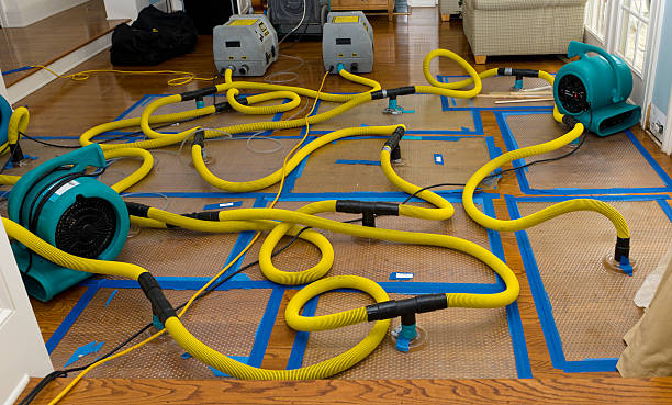 Professional Structural Drying And Dehumidification technician working in Glenmont, MD